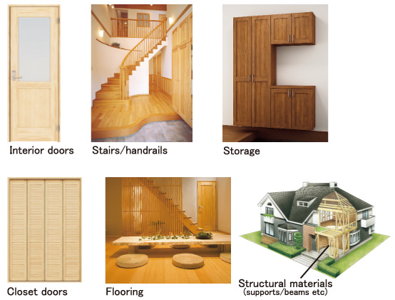 Our Services