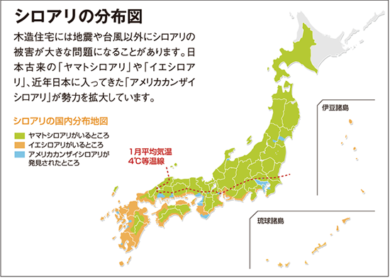 シロアリの分布図