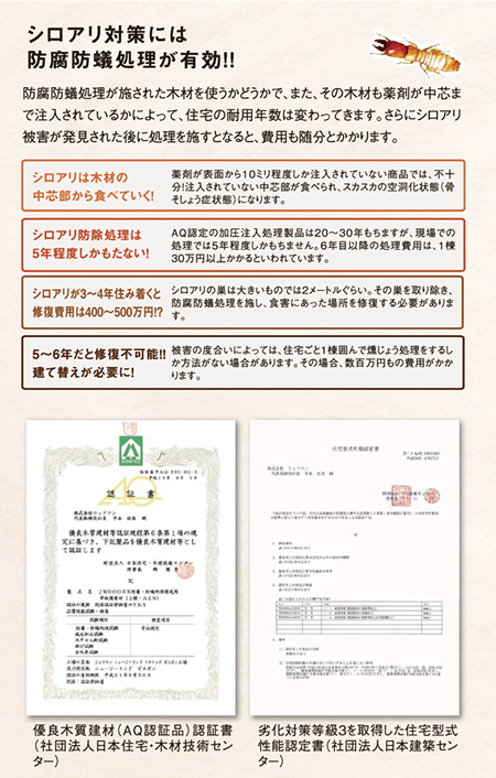 シロアリ対策には防腐坊蟻処理が有効!