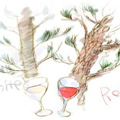 第1回 白と赤、ワインのような木の話