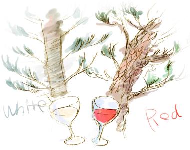 第1回 白と赤、ワインのような木の話