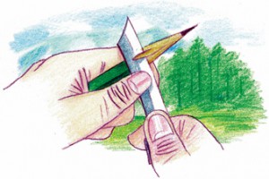 第29回 鉛筆を使って勉強すると、気分が集中できてはかどる!?