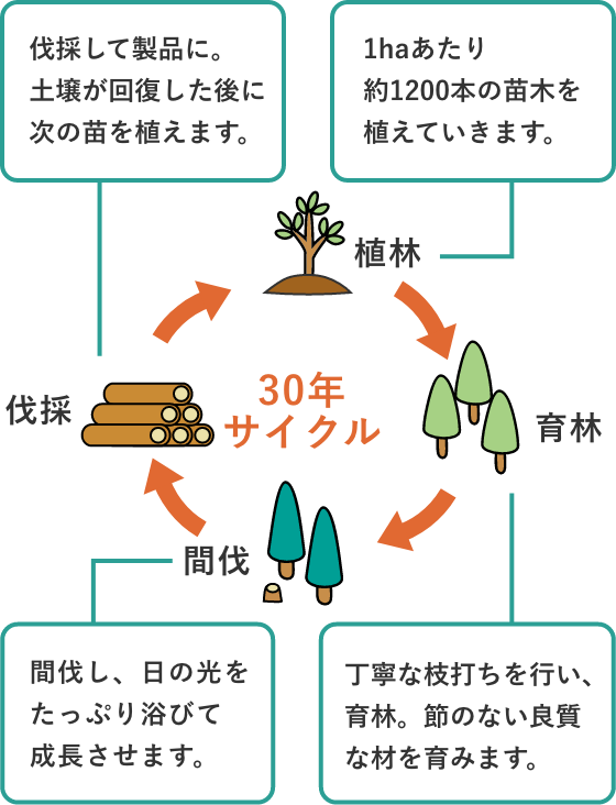 持続可能社会の実現に貢献する法正林施業