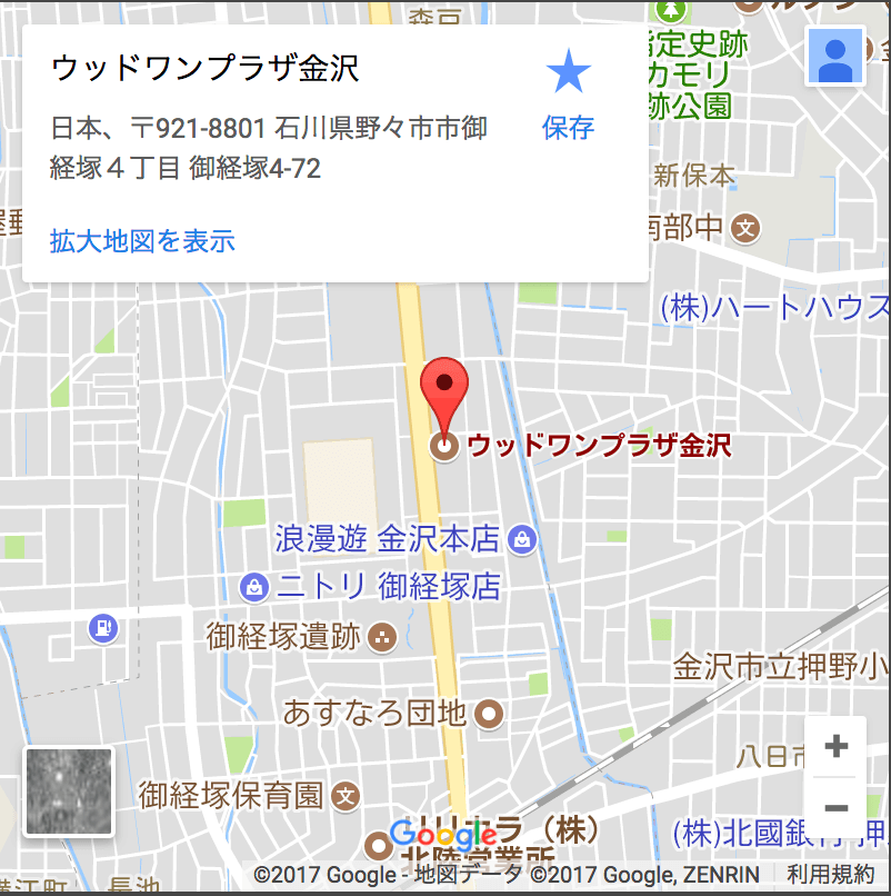 google map