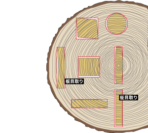 木目（木取り）