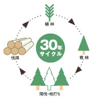 法正林システム