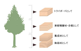 資源の有効活用