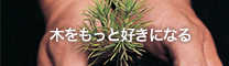 木をもっと好きになる