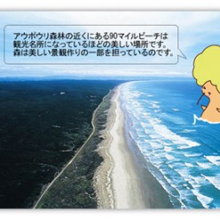 第9回　ニュージーランドの森　「これまで」と「これから」