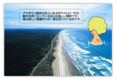 第9回　ニュージーランドの森　「これまで」と「これから」