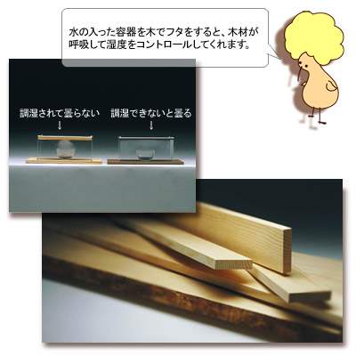 第12回　「含水率」　のはなし