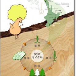 第13回　ウッドワンの無垢材