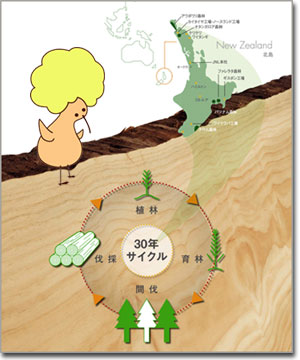 第13回　ウッドワンの無垢材