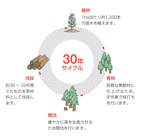 ウッドワンの森林経営