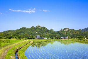 青空が写る田んぼの風景