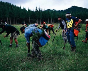 植林をする人々