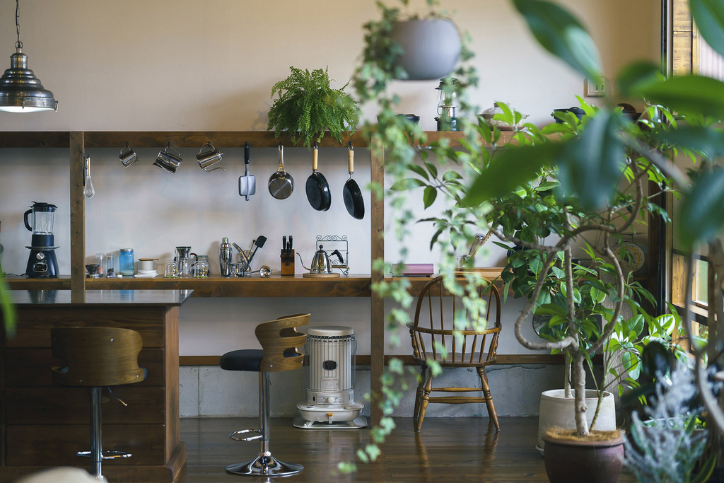 観葉植物が飾られたカフェ風キッチン
