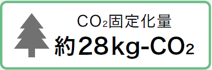 N-VF_CO2