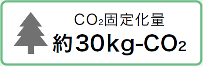 N-VP_CO2