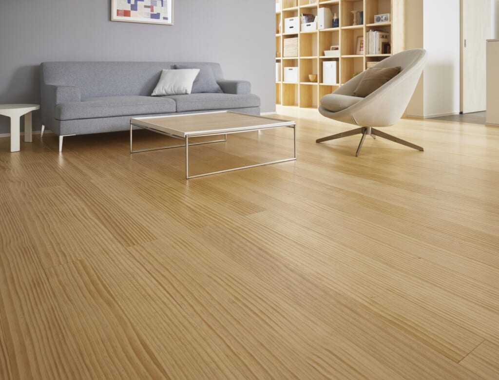 ダウンフロアリビングの家