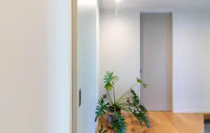 ドレタス