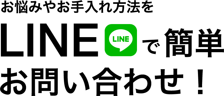 お悩みやお手入れ方法をlineで簡単お問い合わせ！